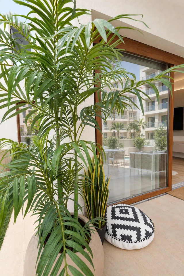 Obra nueva en los alcazares — 28