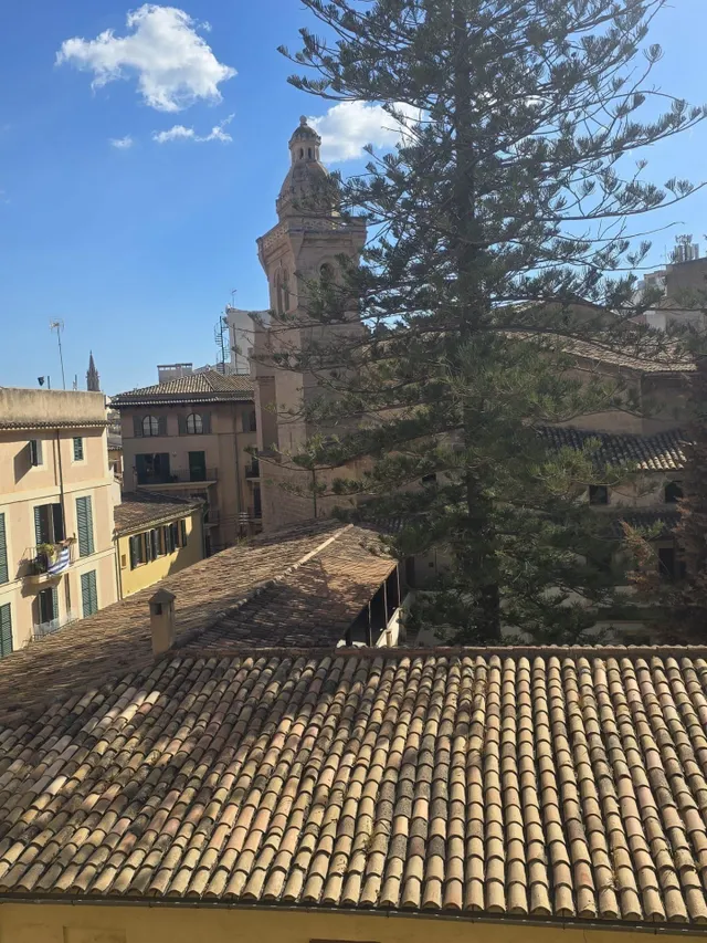 PISO EN EL CENTRO DE PALMA — 17