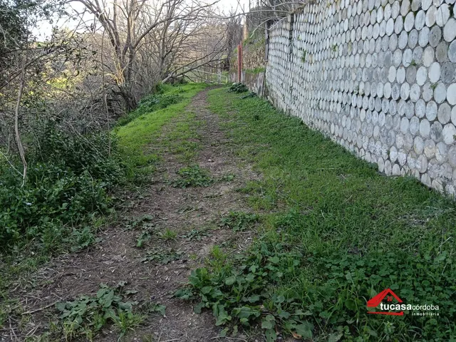 DESCUBRE LA JOYA DE LA PALOMERA - foto 3