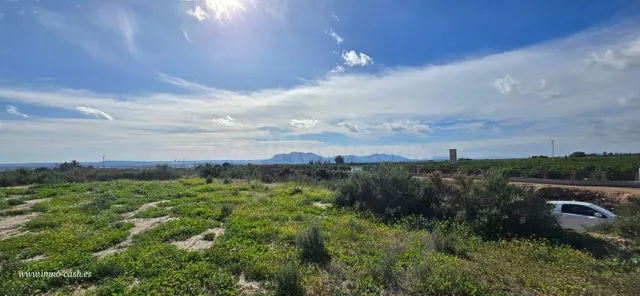 Terreno rural en venta - Comunidad valenciana - foto 4