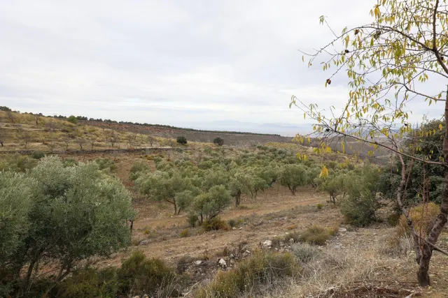 Magnífica finca de 400 olivos en Monachil — 32