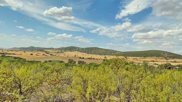Venta de finca cinegética y agrícola en Ciudad Real - foto 4