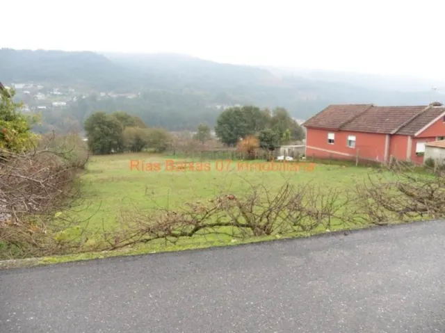 REF 2666 SOLAR PARCELABLE 2531 m2 MOS - foto 2
