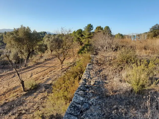 OCASION GRAN  FINCA EN PRODUCCION DE 8,4 HAS. EN CORBERA D´EBRE — 18