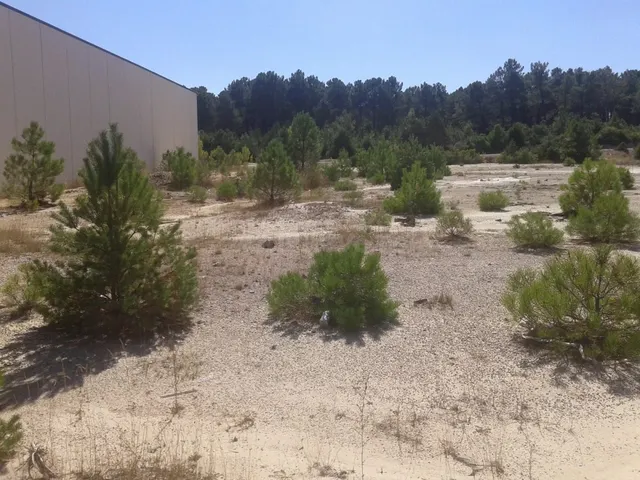 SE VENDE PARCELA INDUSTRIAL EN GOLMAYO - foto 3
