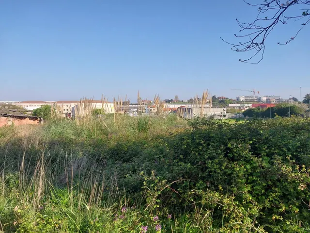Terreno urbano en venta - General-davila