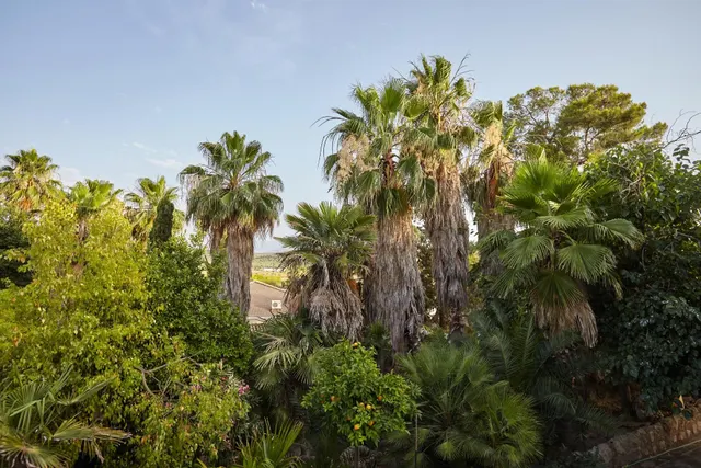 ESPECTACULAR FINCA CON CASAS Y OLIVAR CERCA DE JAÉN - foto 2