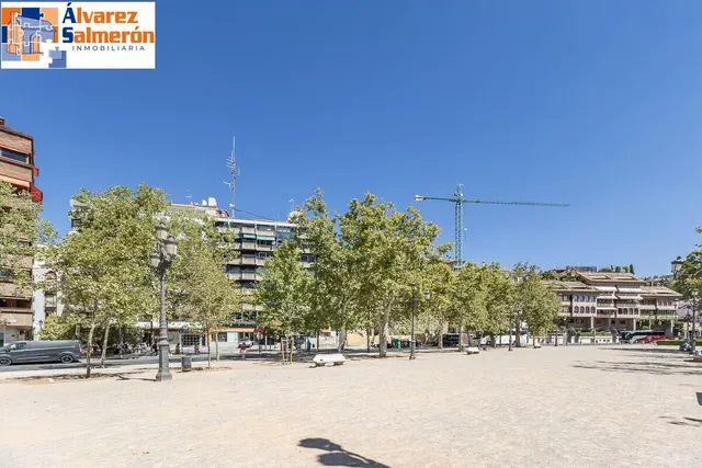 EXCLUSIVO INMUEBLE EN PLAZA DE CARRETAS, JUNTO AL EMBLEMÁTICO PASEO DEL SALÓN — 28