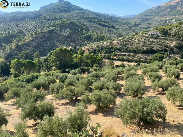 Finca con casa  en Jaén — — 10