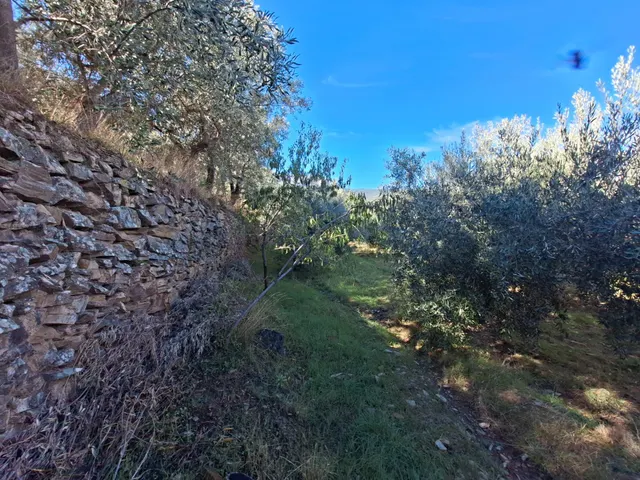 Se vende casa con parcela en Abrucena en pleno parque natural de sierra nevada — 45
