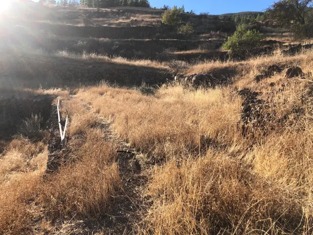 Terreno rústico con encanto y vistas espectaculares — Fasnia, Tenerife — 38