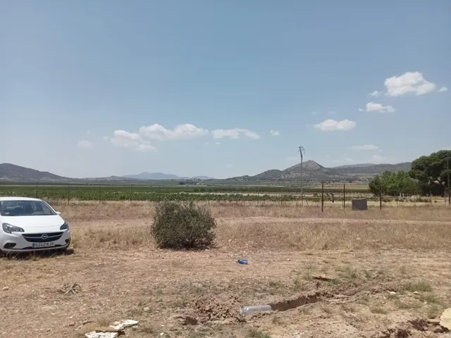 Campo en monovar — 13