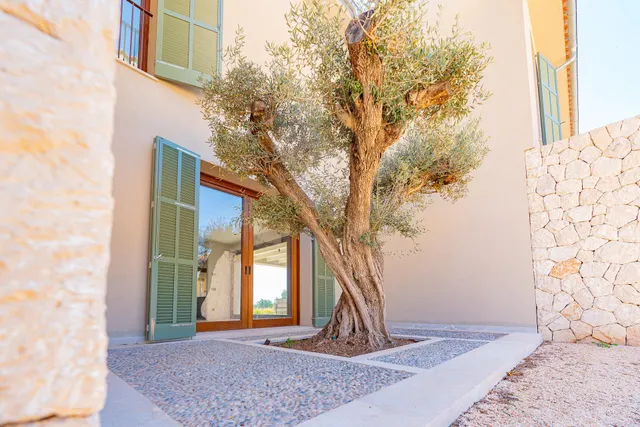 Finca Rústica en Palma. — 32