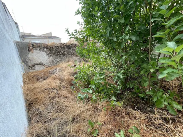 CASA DE PLANTA BAJA EN ARROYO DE LA LUZ - foto 2