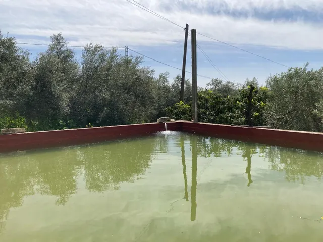 Casa con Terreno en La Joya — 5