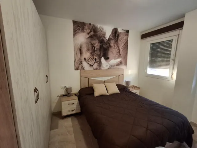 ¡Luz, Amplitud y Comodidad en un Solo Hogar! — 18