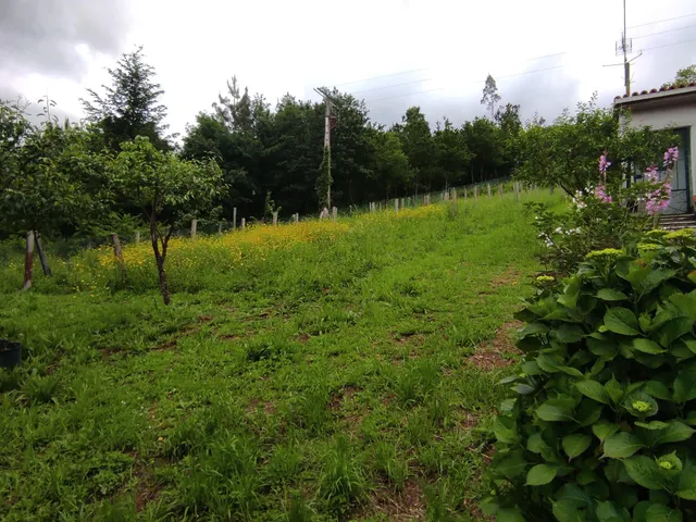 CASA EN VENTA CON AMPLIA FINCA — 20
