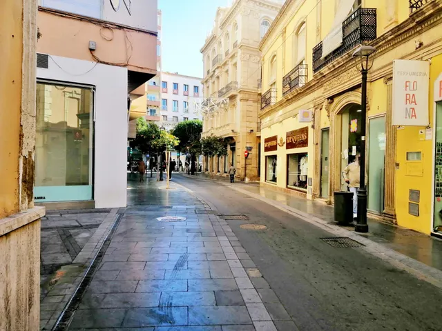 VENTA DE SOLAR EN CALLE PEATONAL EN PASEO DE ALMERIA — 6