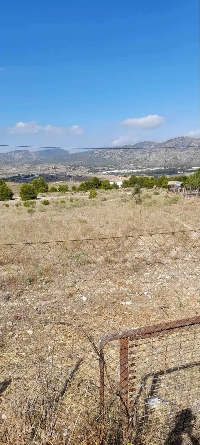 TERRENO RÚSTICO DE 40.000 M2 DE PARCELA EN CAMARA CON AGUA E - foto 2