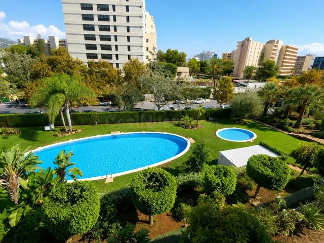 ALQUILER TEMPORAL EN PALMANOVA – hasta 11 meses (no vivienda
