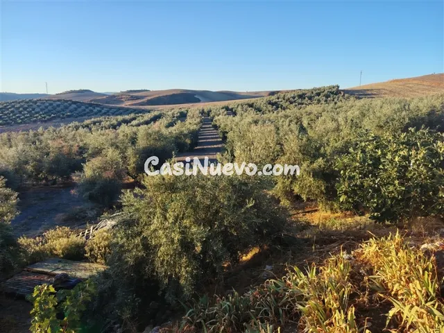 Casa de campo-Masía en Venta en Villalones, Los Málaga - foto 4