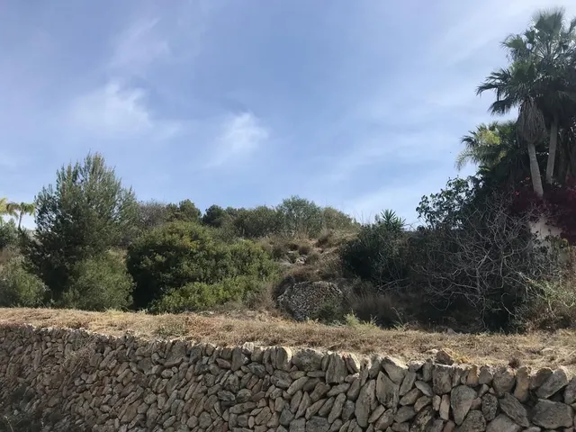 Parcela / Solar (Tosal de La Cometa) 800m2 — 4