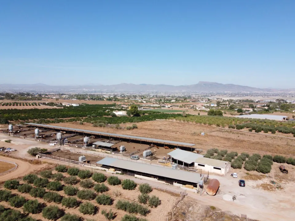Gran explotación ganadera en lorca: capacidad para 760 cabezas y finca agrícola en producción