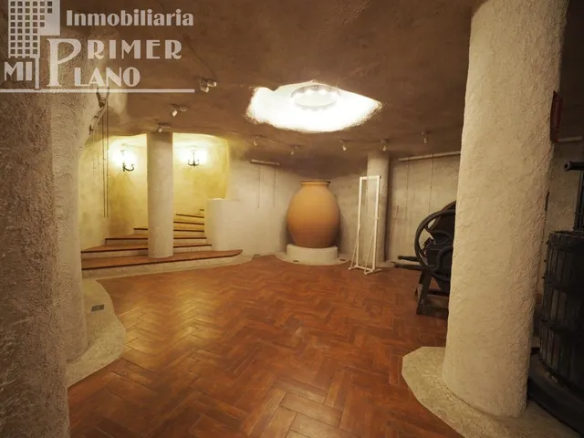 LOCAL EN EL CENTRO DE TOMELLOSO POR 115.000 € — 12