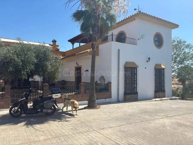 Casa de campo 8000m² en venta - South of spain — 3