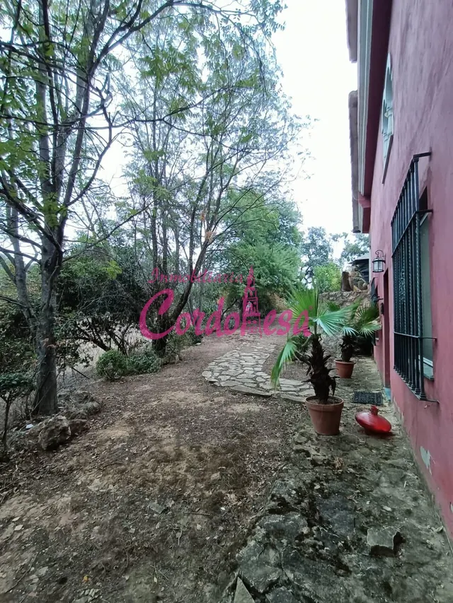 CASA EN CUEVAS BAJAS — 18