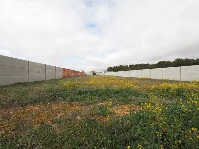 Se vende solar en Tomelloso con 3250m2 de superficie y 25 de