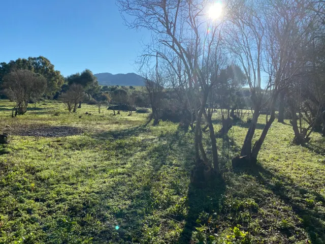 Casa de campo para reformar — 7