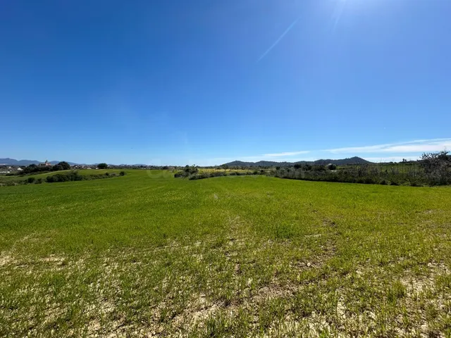 Finca con licencia y proyecto básico en Porreres - foto 5