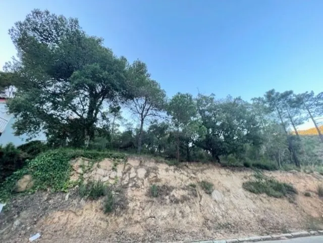 Lote de parcelas en rosamar — 8
