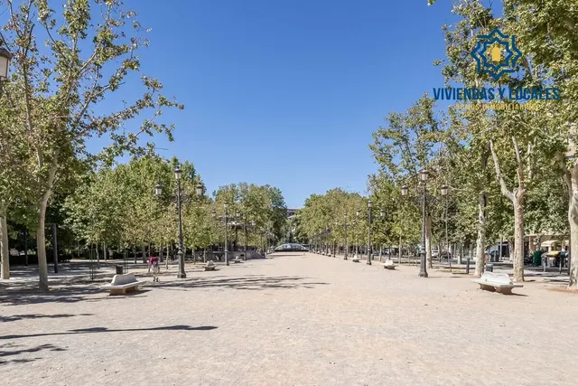 EXCLUSIVO INMUEBLE EN PLAZA DE CARRETAS, JUNTO AL EMBLEMÁTICO PASEO DEL SALÓN — 29