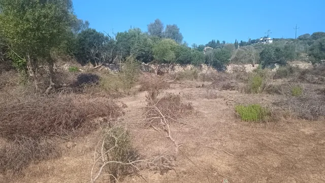 Terreno rústico en Pòrtol, Marratxí, a pocos metros del casco urbano — 4