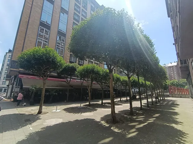 Piso 3 habitaciones 95m² en venta - El Carbayedo - El Quirinal — 20