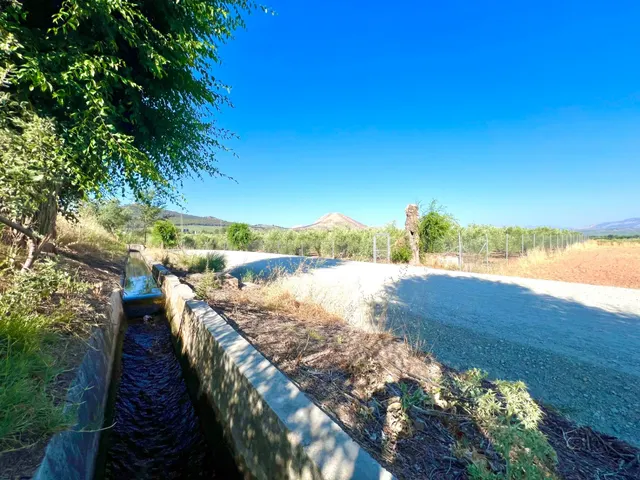 ALBOLOTE - PANTANO CUBILLAS — 18