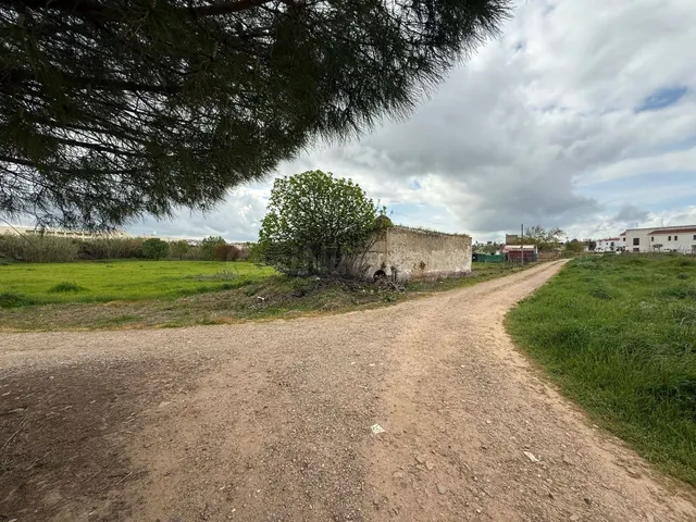 PARCELA A 20 METROS DEL CASCO URBANO DE OLIVENZA - foto 4