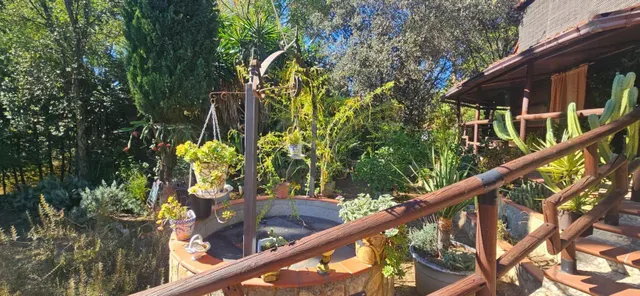 Finca rústica en Alcolea del Río con piscina, placas solares y 5.000 m2 — 23