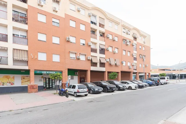 ¡¡ Tranquilidad y naturaleza en la Rambla de los ÁLAMOS de Motril !! — 24