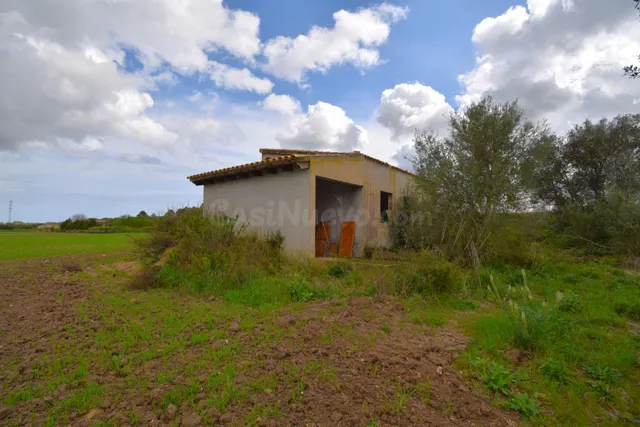 Finca rústica con posibilidad de vivienda en Muro - foto 2