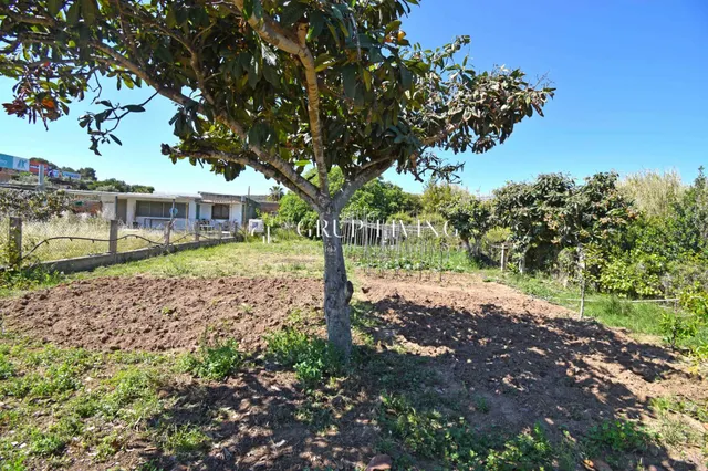HUERTO EN SITGES IDEAL PARA JUBILADOS — 2