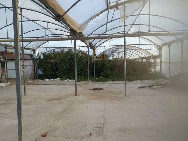 VENTA DE INVERNADEROS — 8