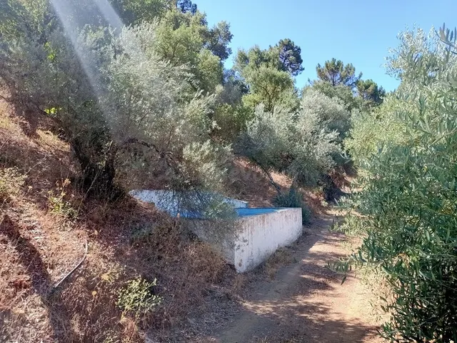 Casa de campo-Masía en Venta en Benastepal Málaga — 82