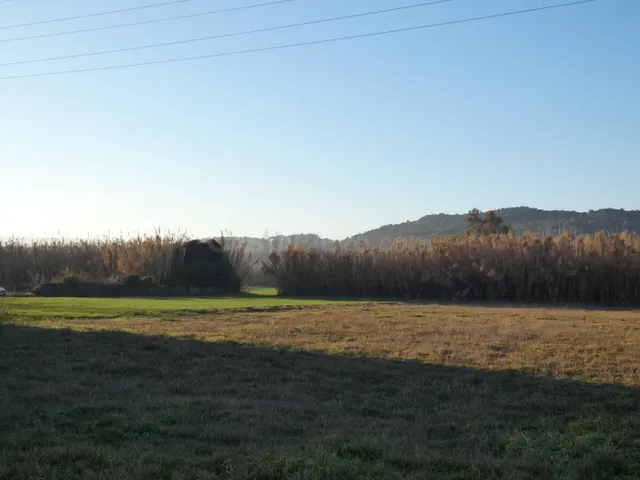 SANT JOAN DE PALAMÓS: Se vende terreno rústico de 3.500 m2.  - foto 3