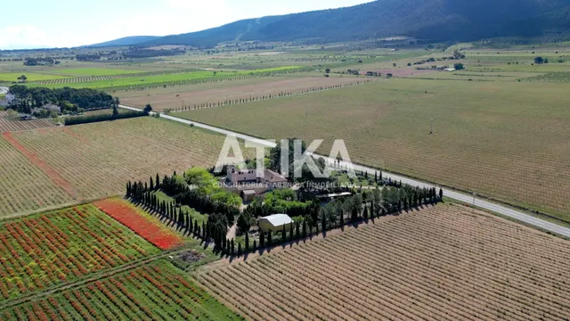 ESPECTACULAR MASÍA RURAL VENTA CON LICENCIA TURÍSTICA EN VIG - foto 3