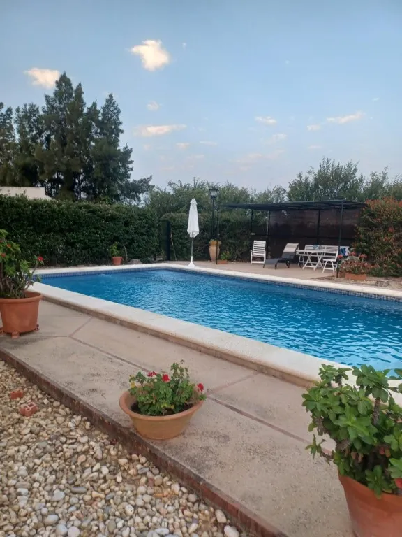 Magnífica casa de campo con piscina y vistas a Moguer, en finca de casi 15.000 m2 — 28