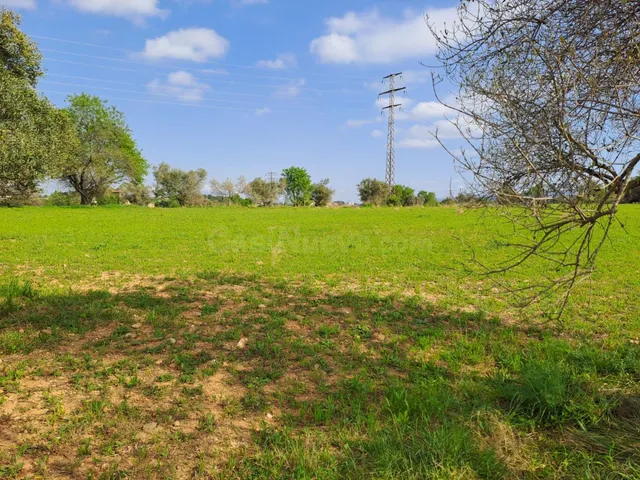 Terreno rural 13397m² en venta - Terrassa - foto 4