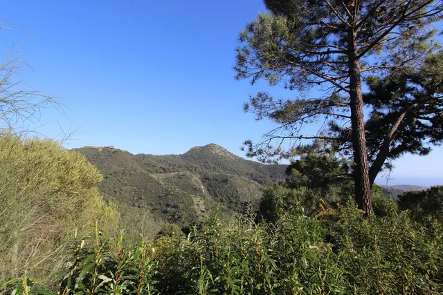 Parcela exclusiva con vistas al Mediterráneo en Benahavís — 12